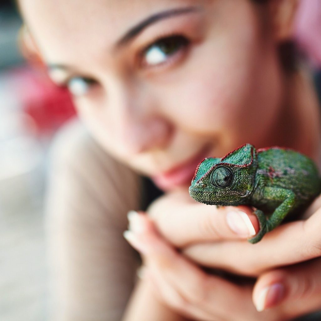 Young woman holding chameleon