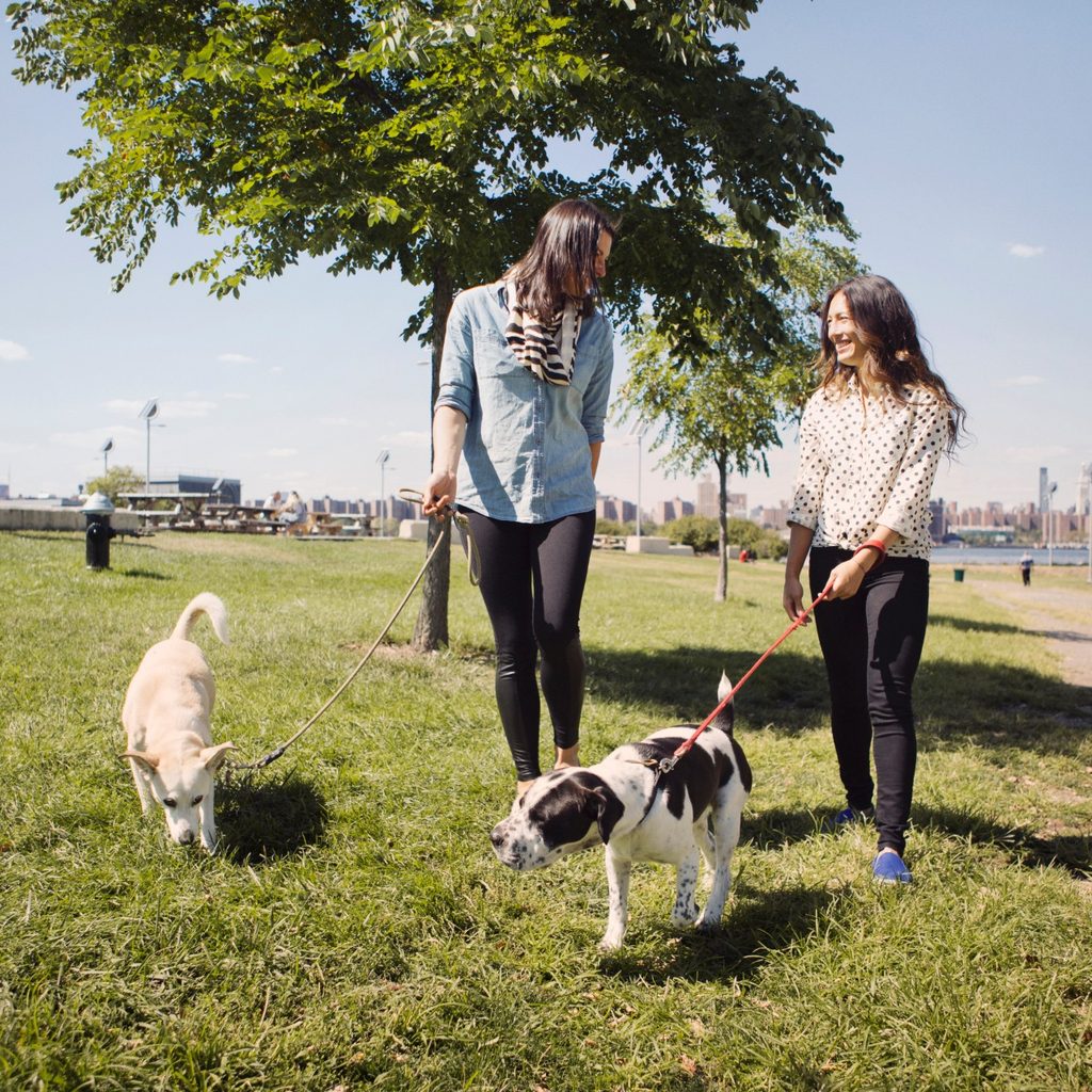 Large snake in terrarium