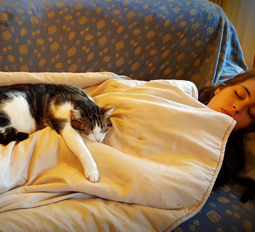 Cat sleeping on top of woman