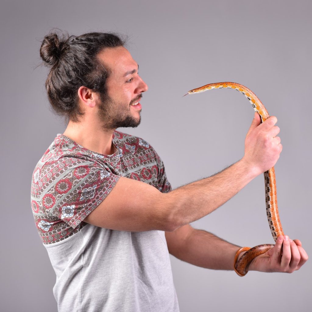 Man holding corn snake