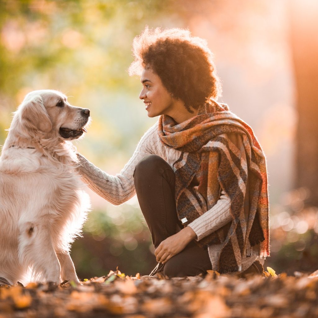 Woman petting golden retriever
