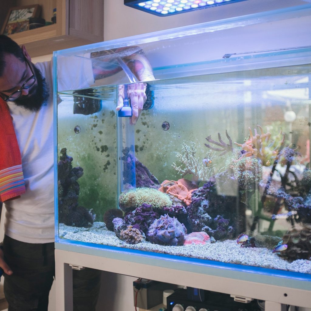 Man working on aquarium