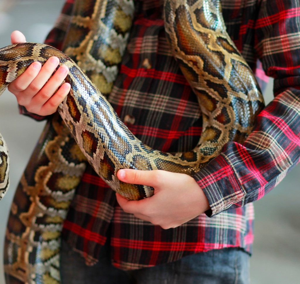 Man holding a pet python