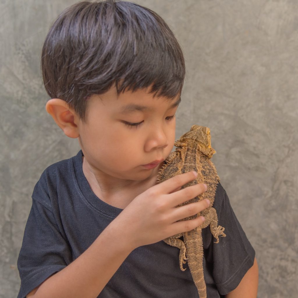 Boy holds bearded dragon