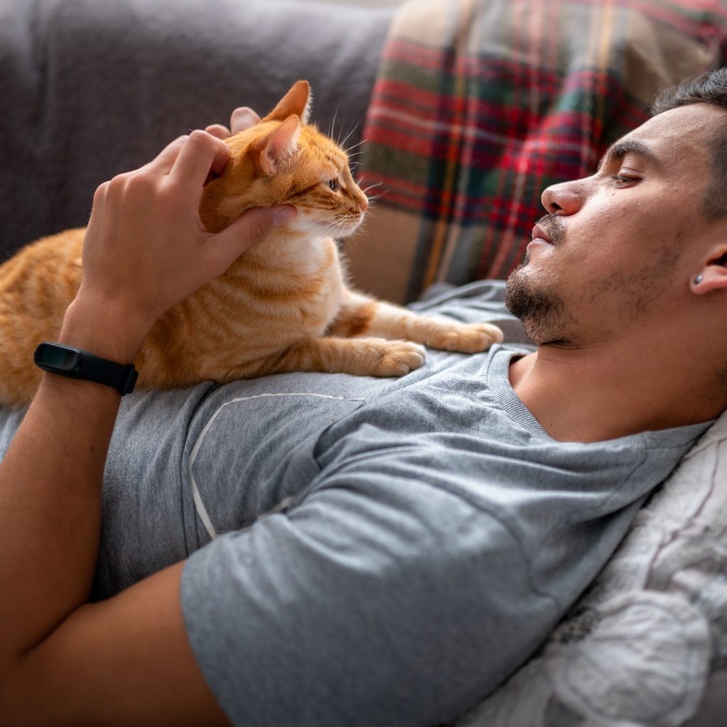 Cat lying on top of man on couch