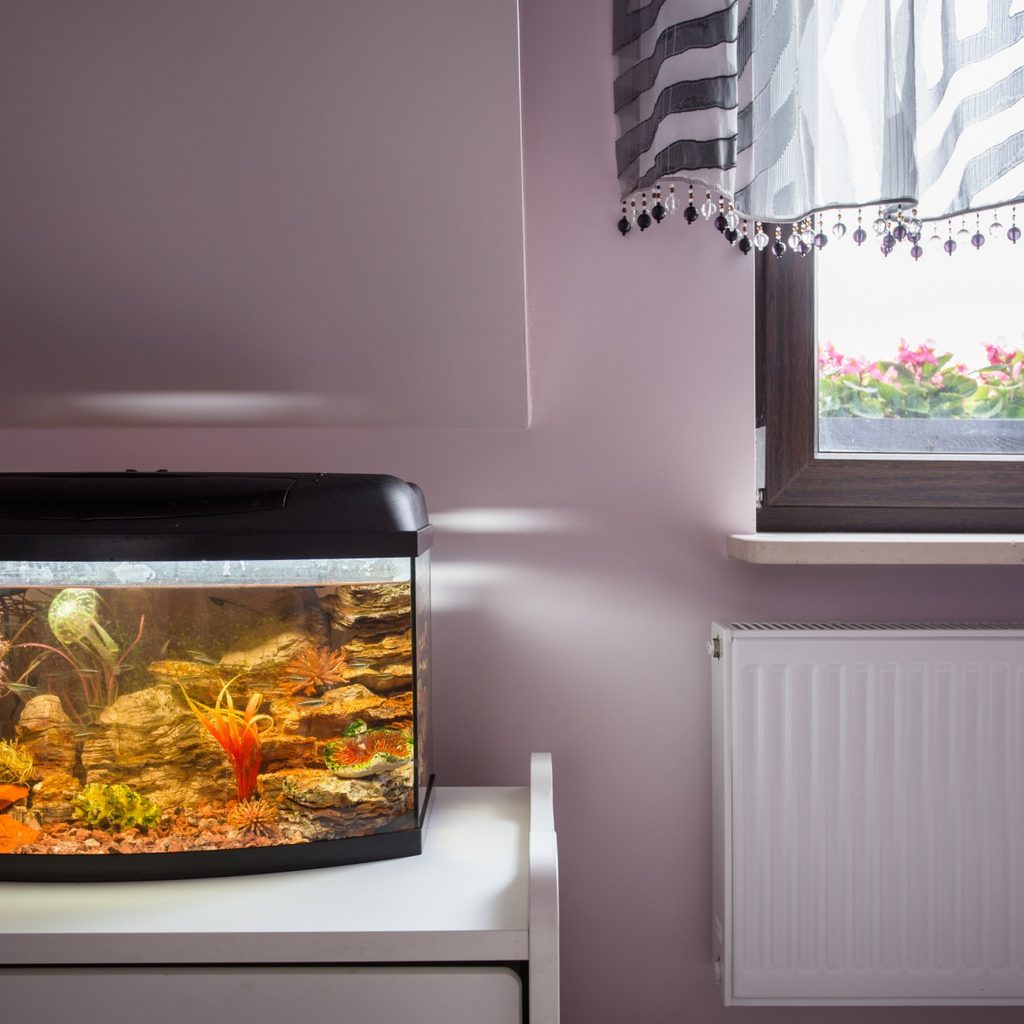 Aquarium on a desk in a home
