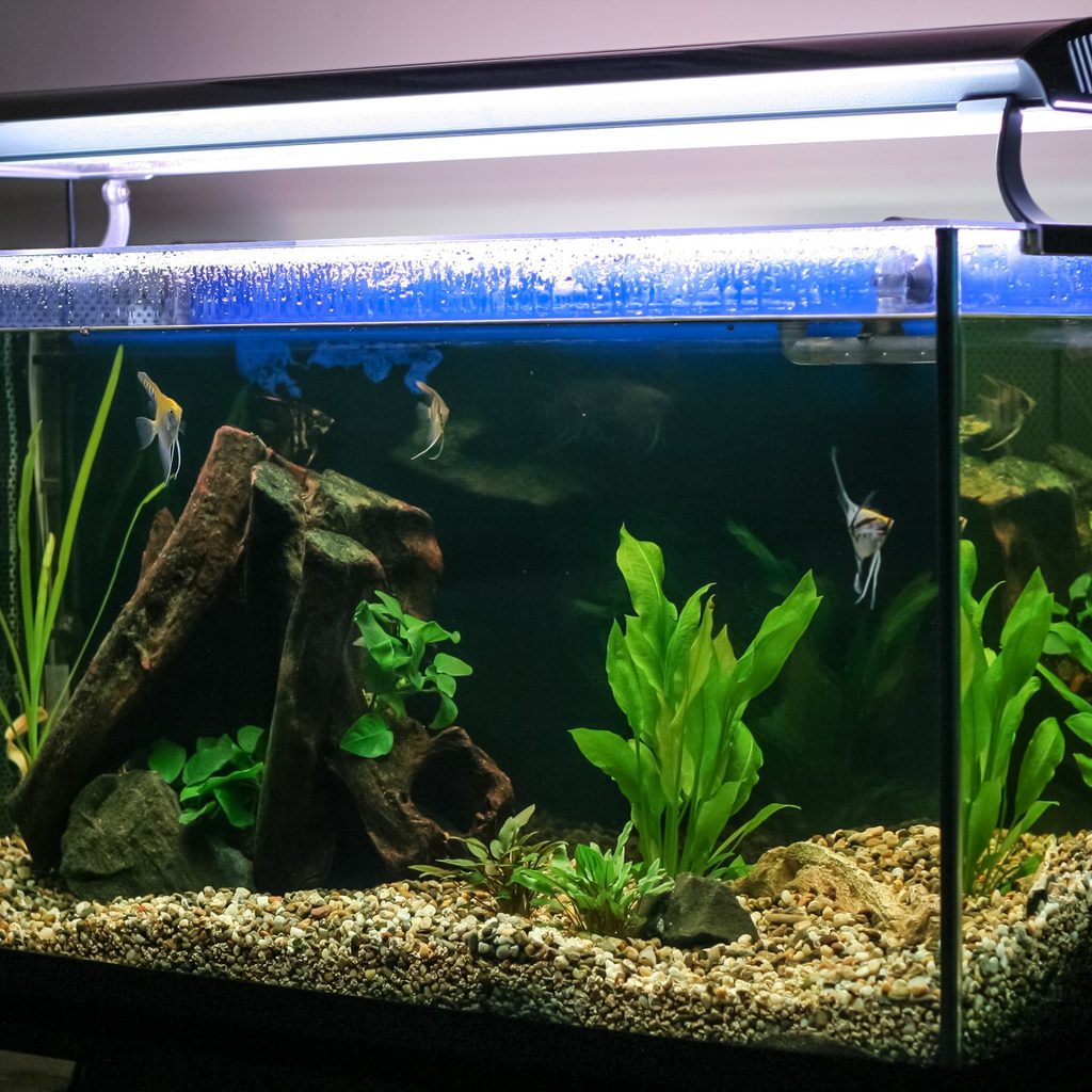 Large aquarium with lights in a home