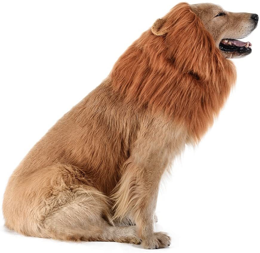 Lion mane dog costume