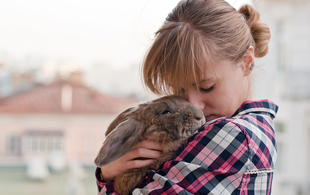 Picture Rabbit Not Color Is my rabbit color blind? | PawTracks