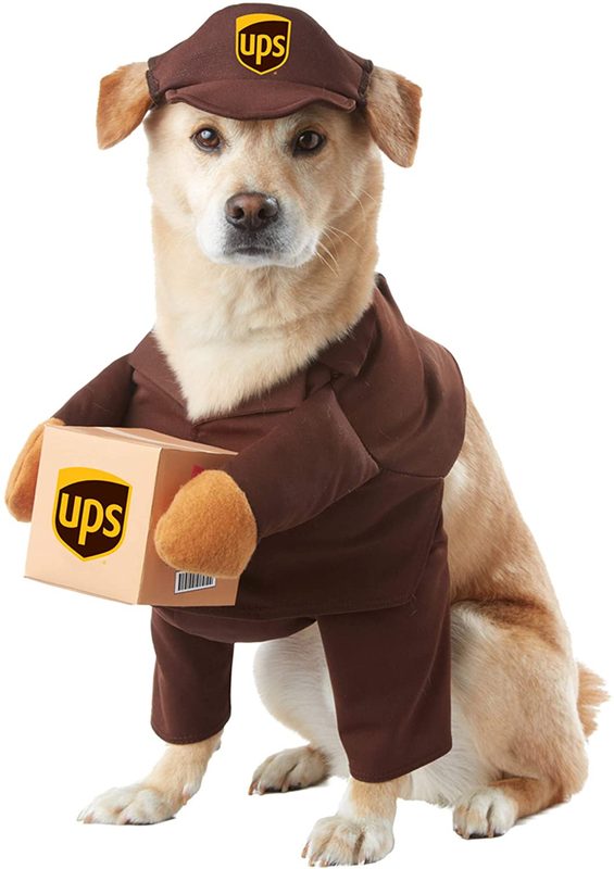 Adorable UPS delivery person Halloween costume for pets