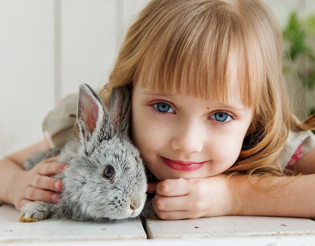 A girl lies down with a small grey rabbit