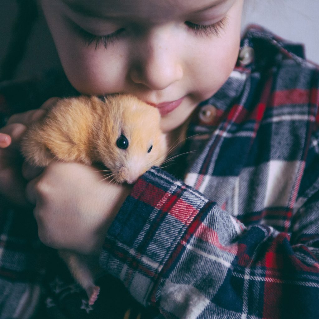 Girl holding and petting a hamster