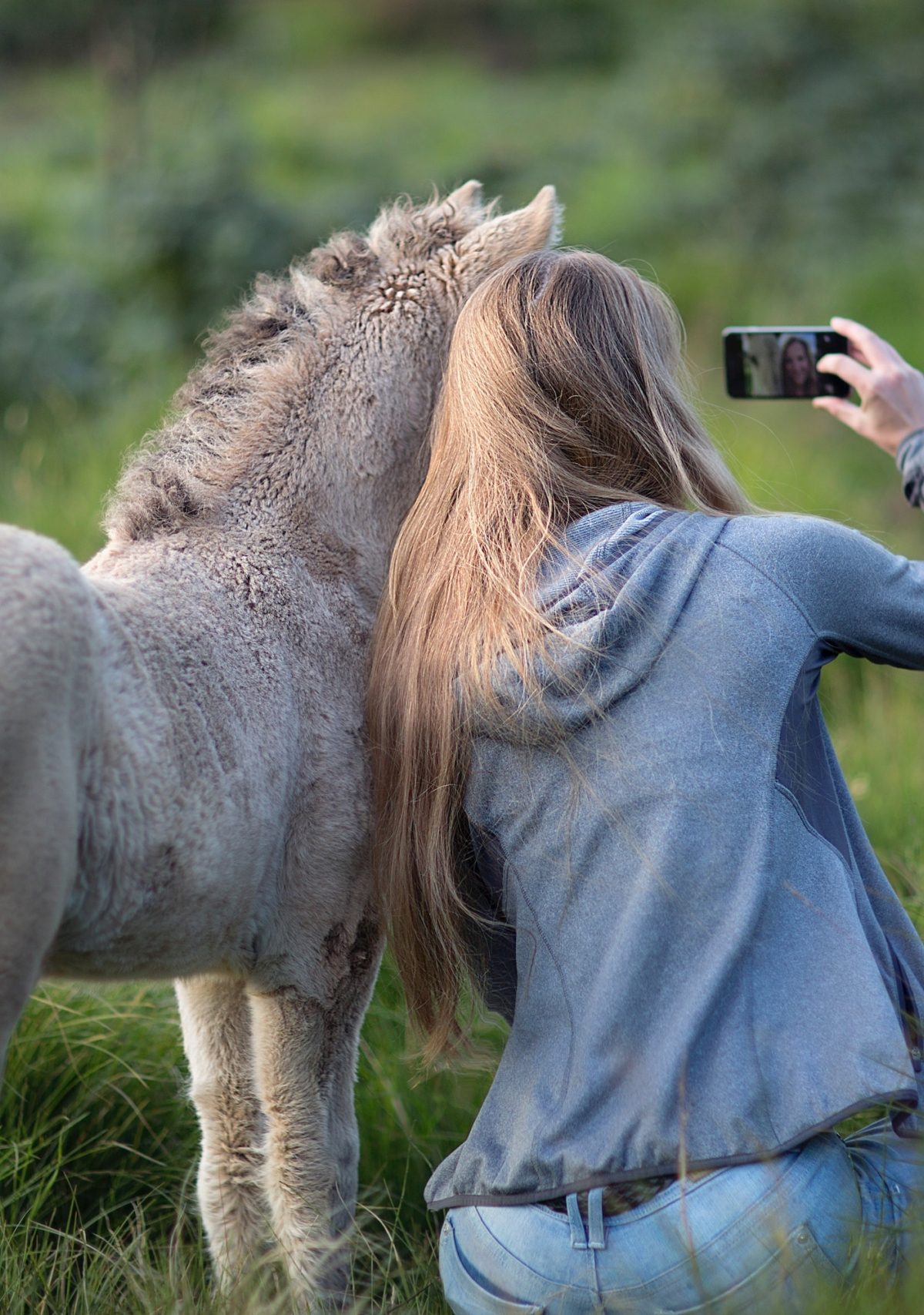 a girl with long blonde hair takes a selfie with a gray pony