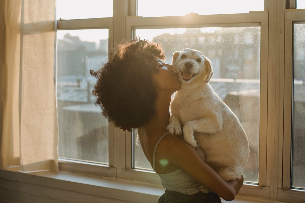 a woman holds and kisses a dog in front of a sunny window