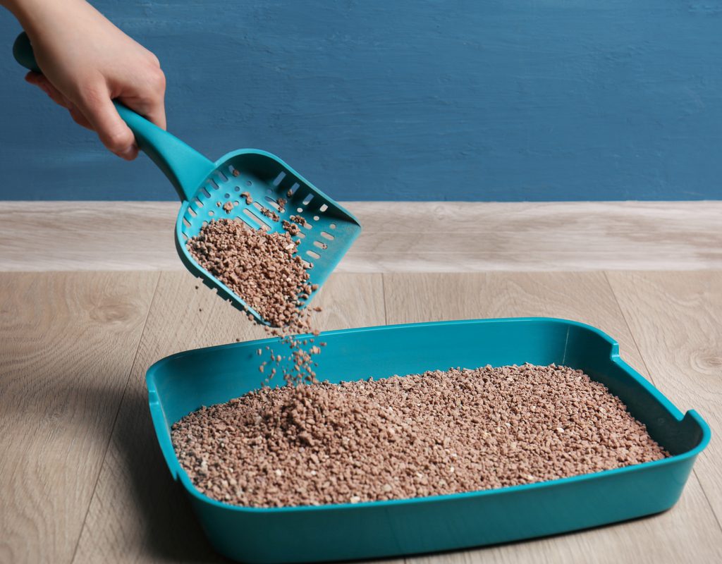 Hand and litter scoop scooping out a litter box