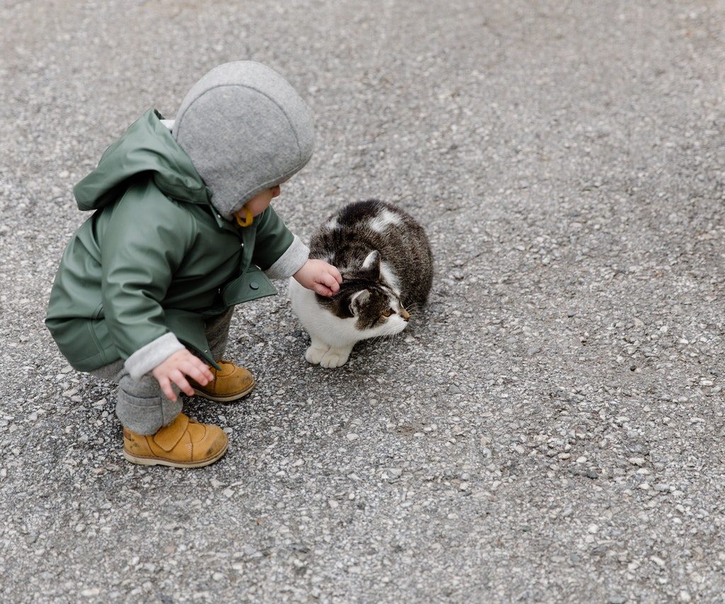 Toddler wearing rain coat petting a tabby cat.