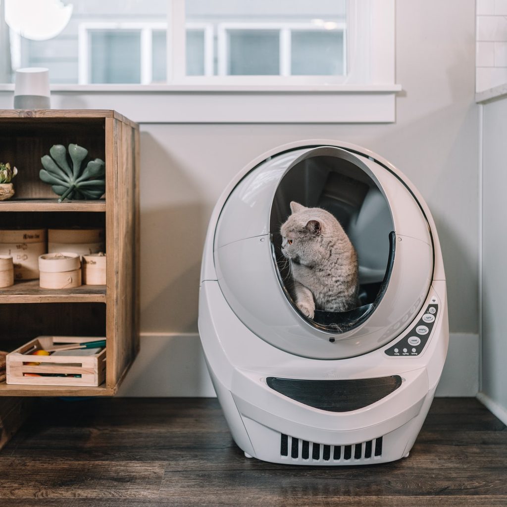 Cat climbing out of a Litter Robot litter box