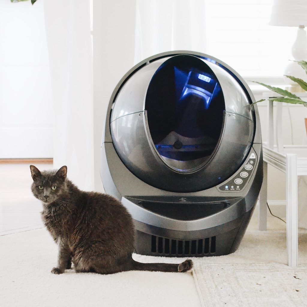 Cat sitting in front of a Litter Robot litter box