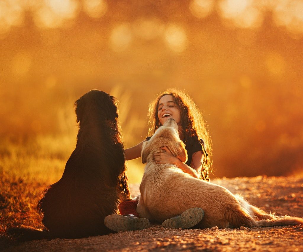 A young girl playing with two dogs.
