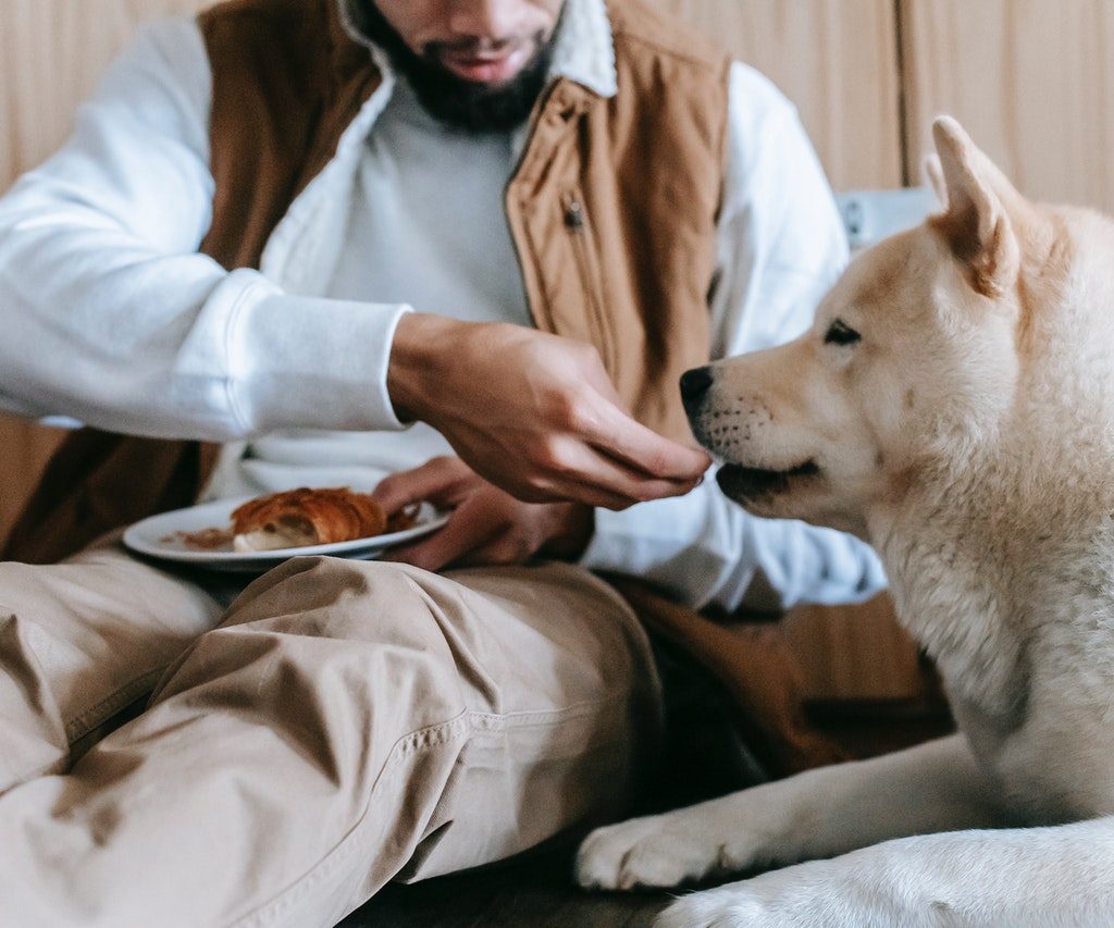 Man feeding a beige dog while sitting on the floor.