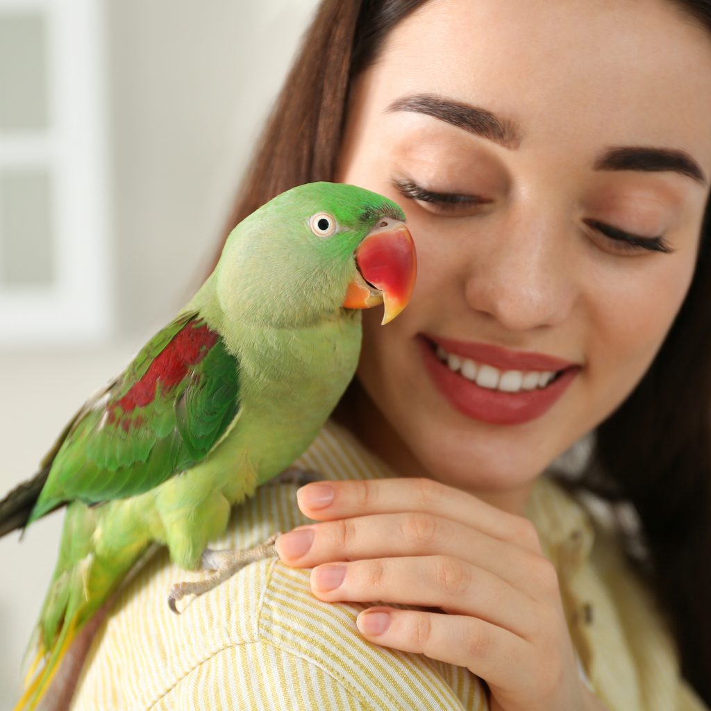Parrot sits on woman's shoulder