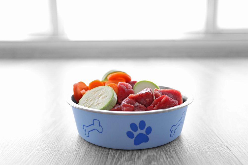 organic dog food bowl