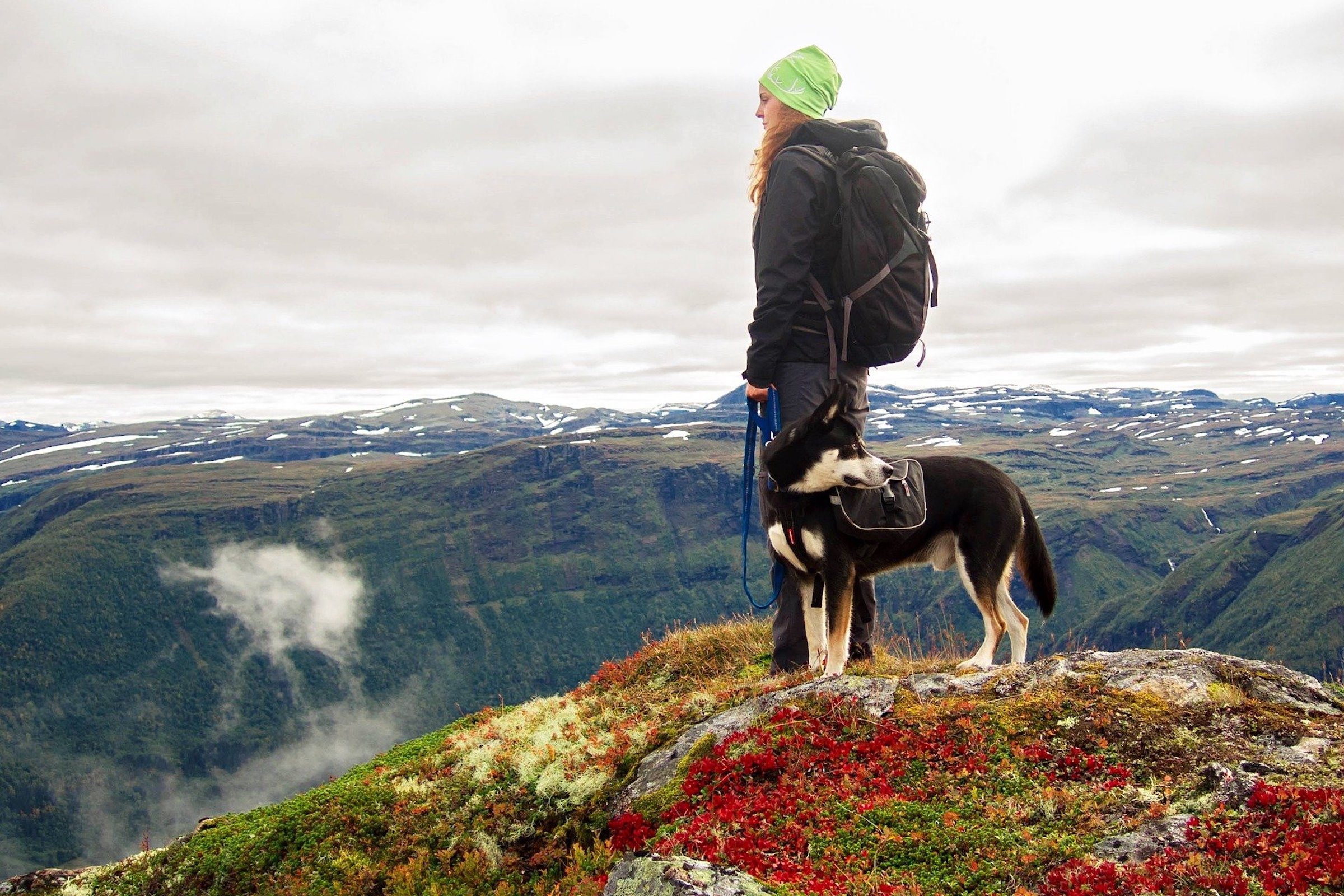 a person stands with a siberian husky on the top of a mountain, overlooking other mountains