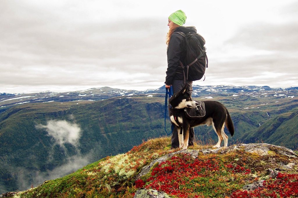 Person hiking with their dog