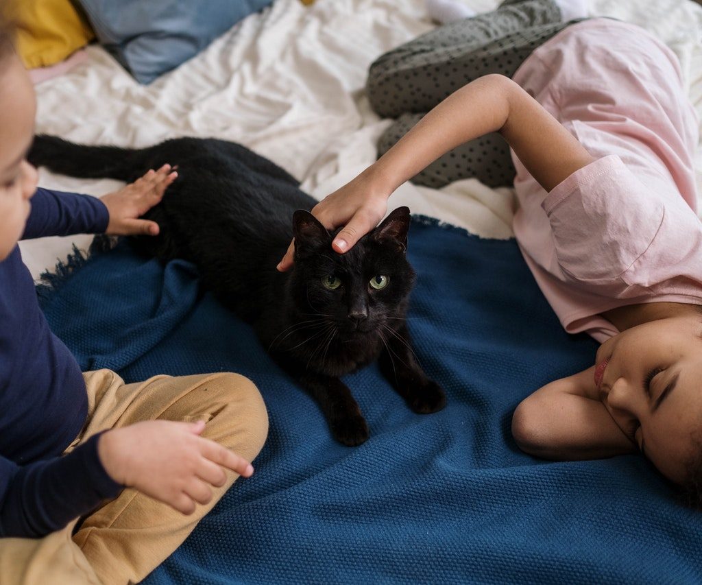 Two young girls with a black cat.