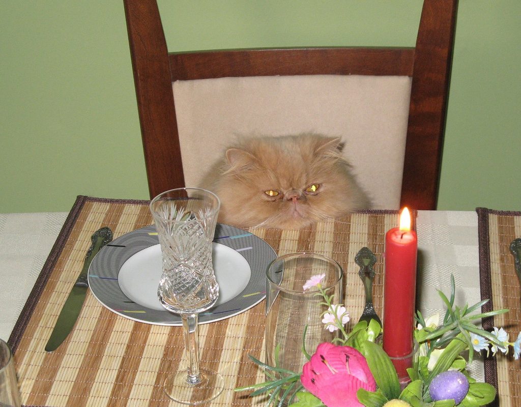 Cat looking at candle on table.