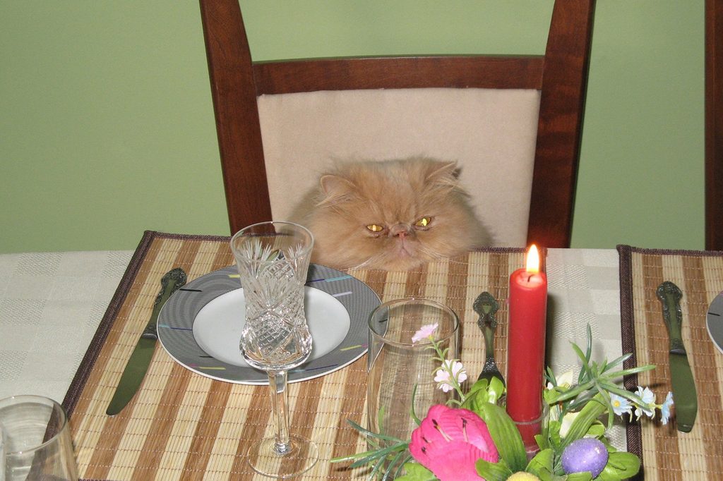 Cat looking at candle on table.