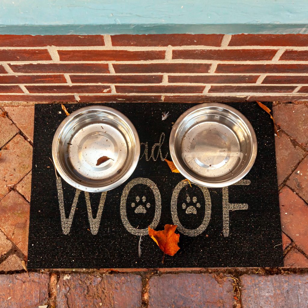 Two metal dog bowls sit on a black mat that says "woof" in white letters