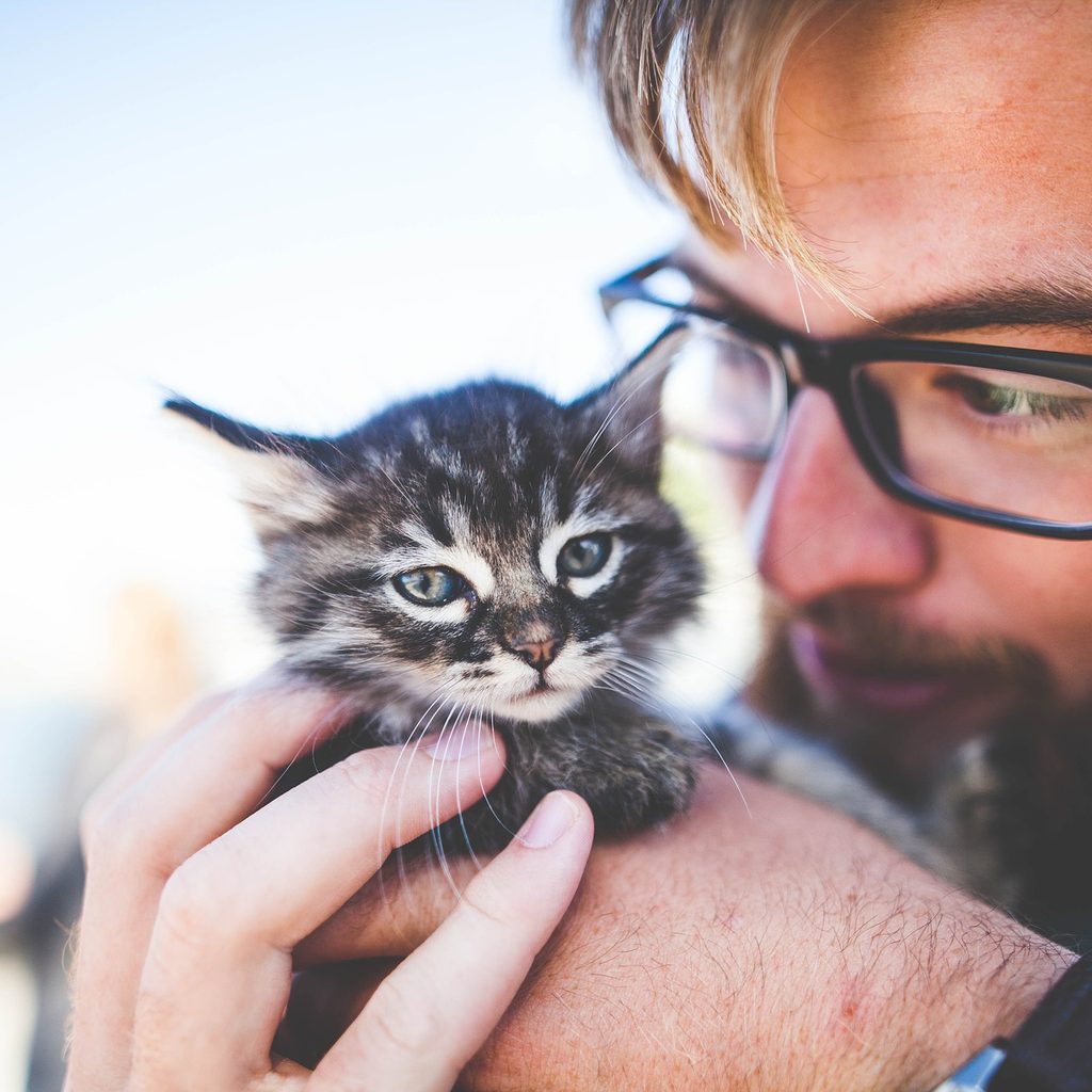 Man holding a young kitten