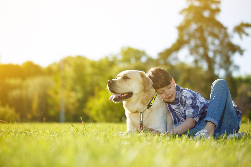 a boy and his dog on the lawn
