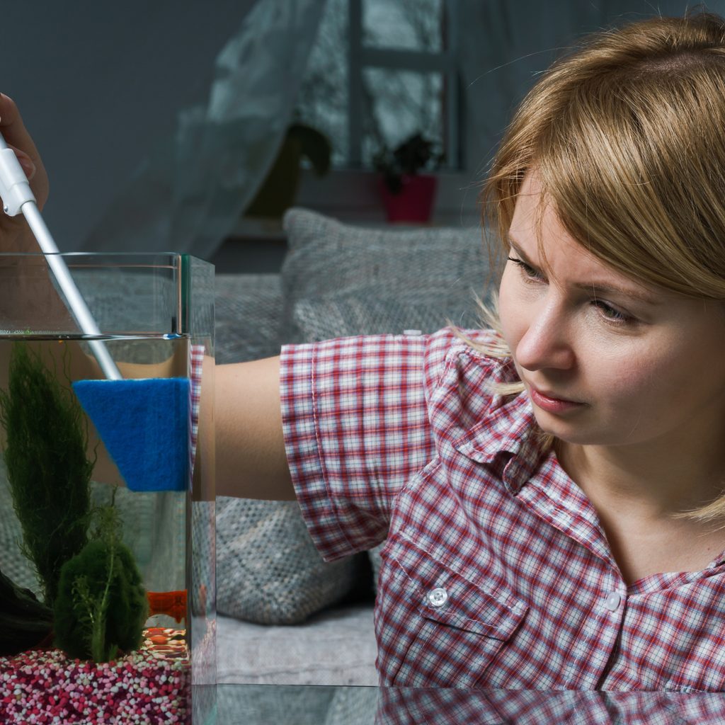Woman cleans aquarium with fish