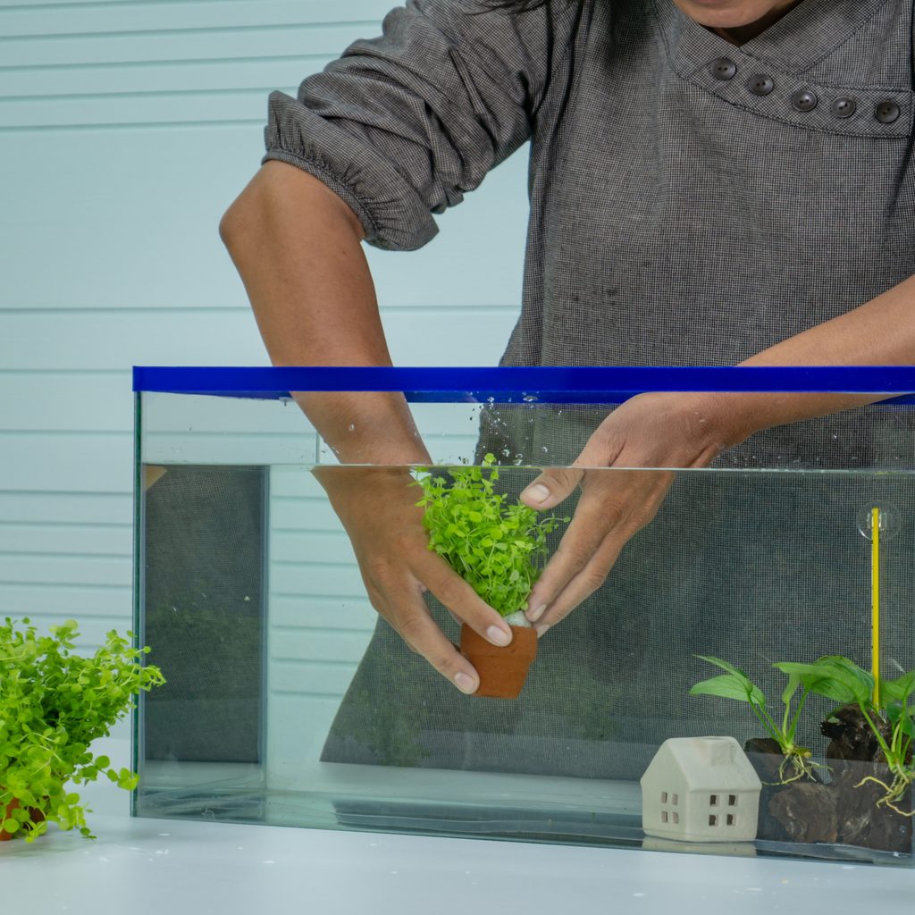 Woman places decorations into a fish tank