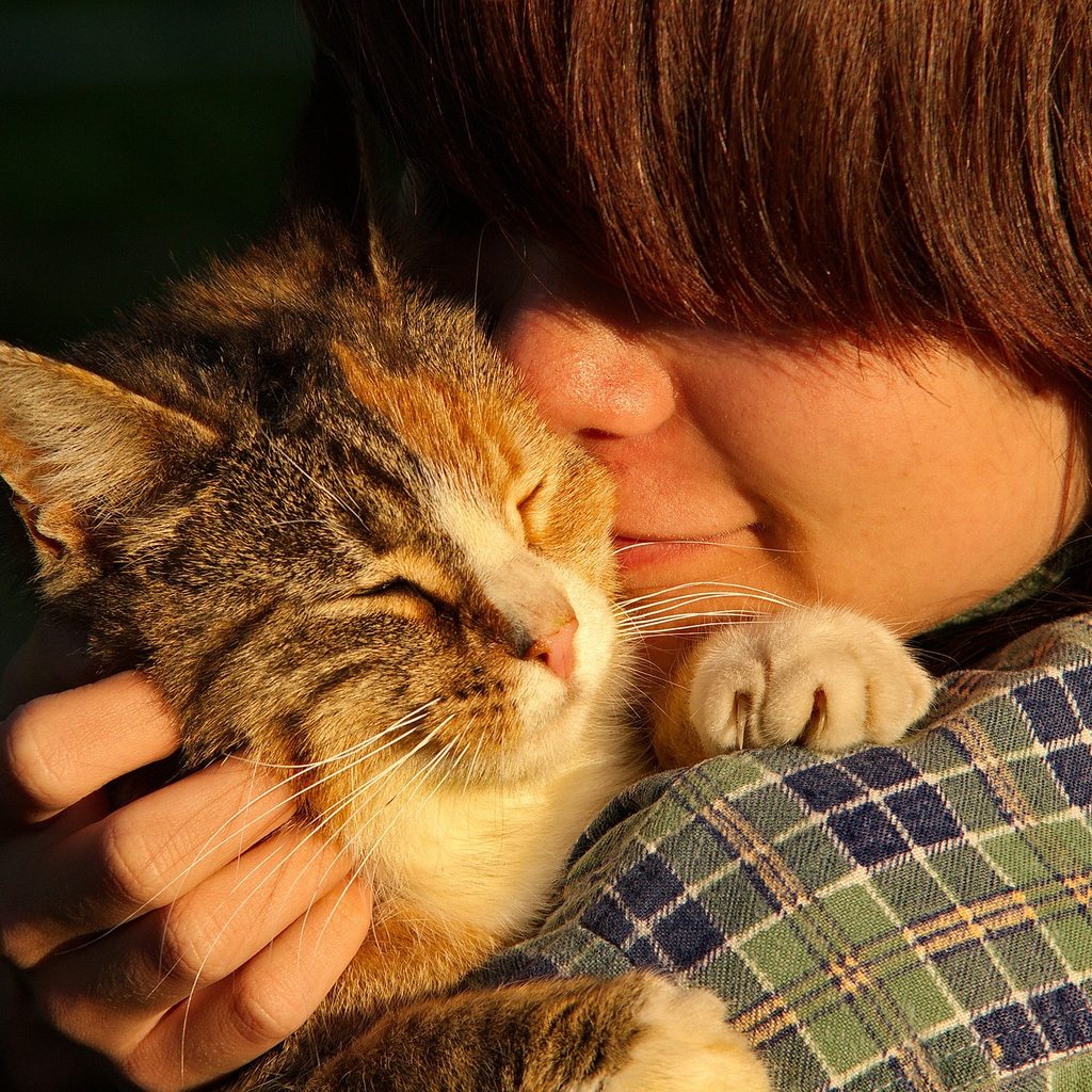 Woman holding a cat against her shoulder in a sunset