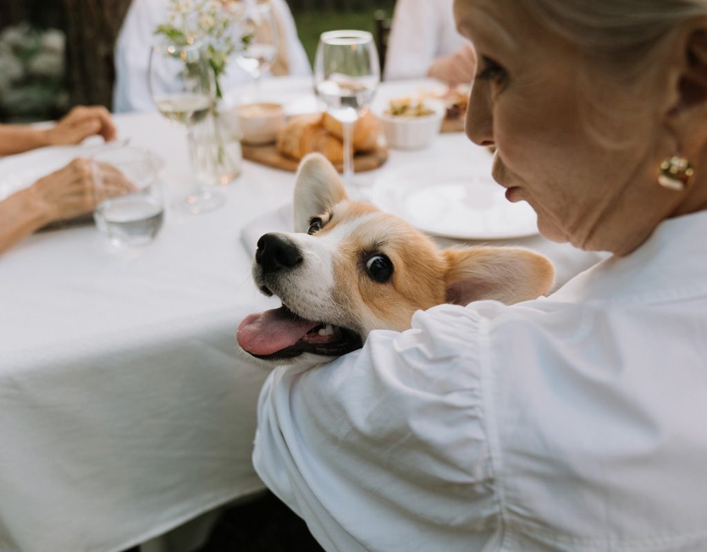 Woman holding dog at table.