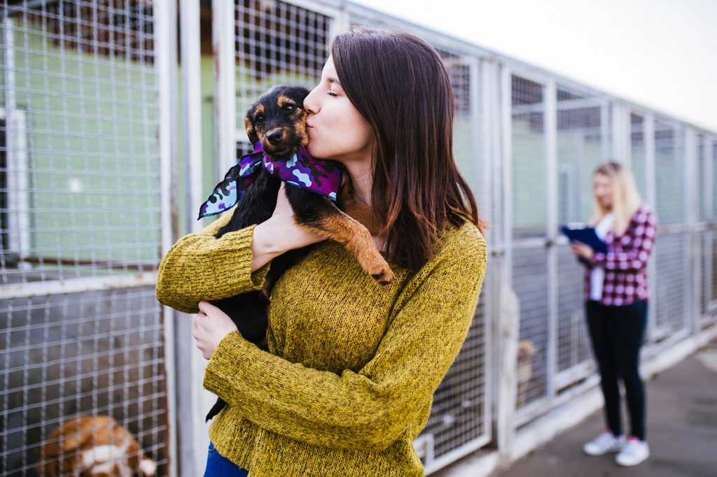 Young woman choosing dog at shelter.