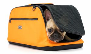 choosing a pet carrier 34141555351 e99ff6f40e o