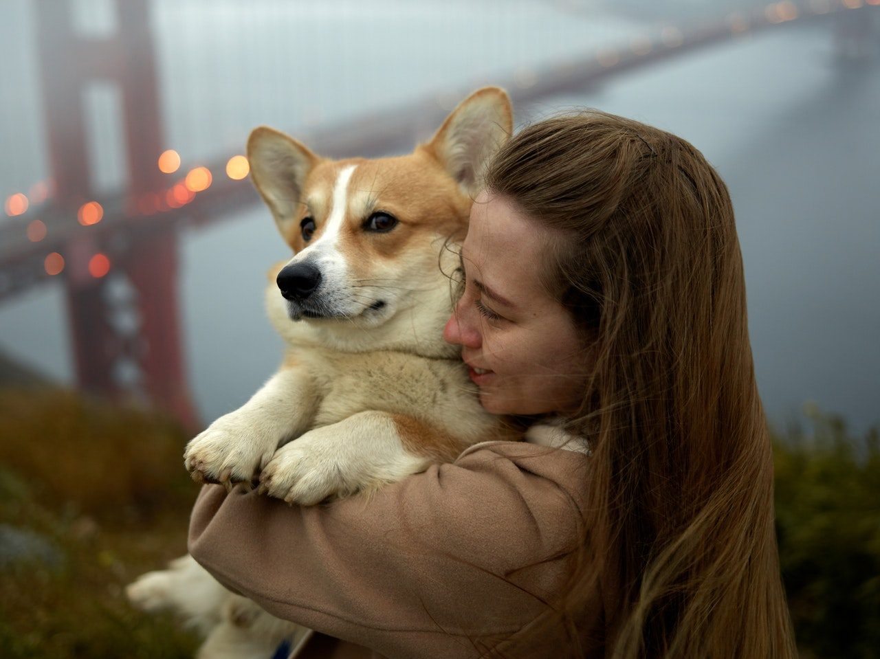A long-haired woman holding a Pembroke Welsh Corgi.