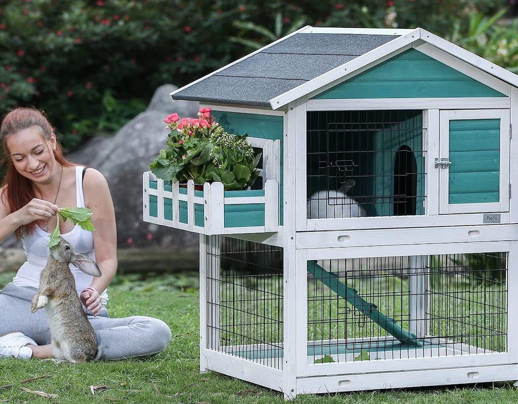 Woman plays with her rabbit next to the Petsfit Rabbit Hutch