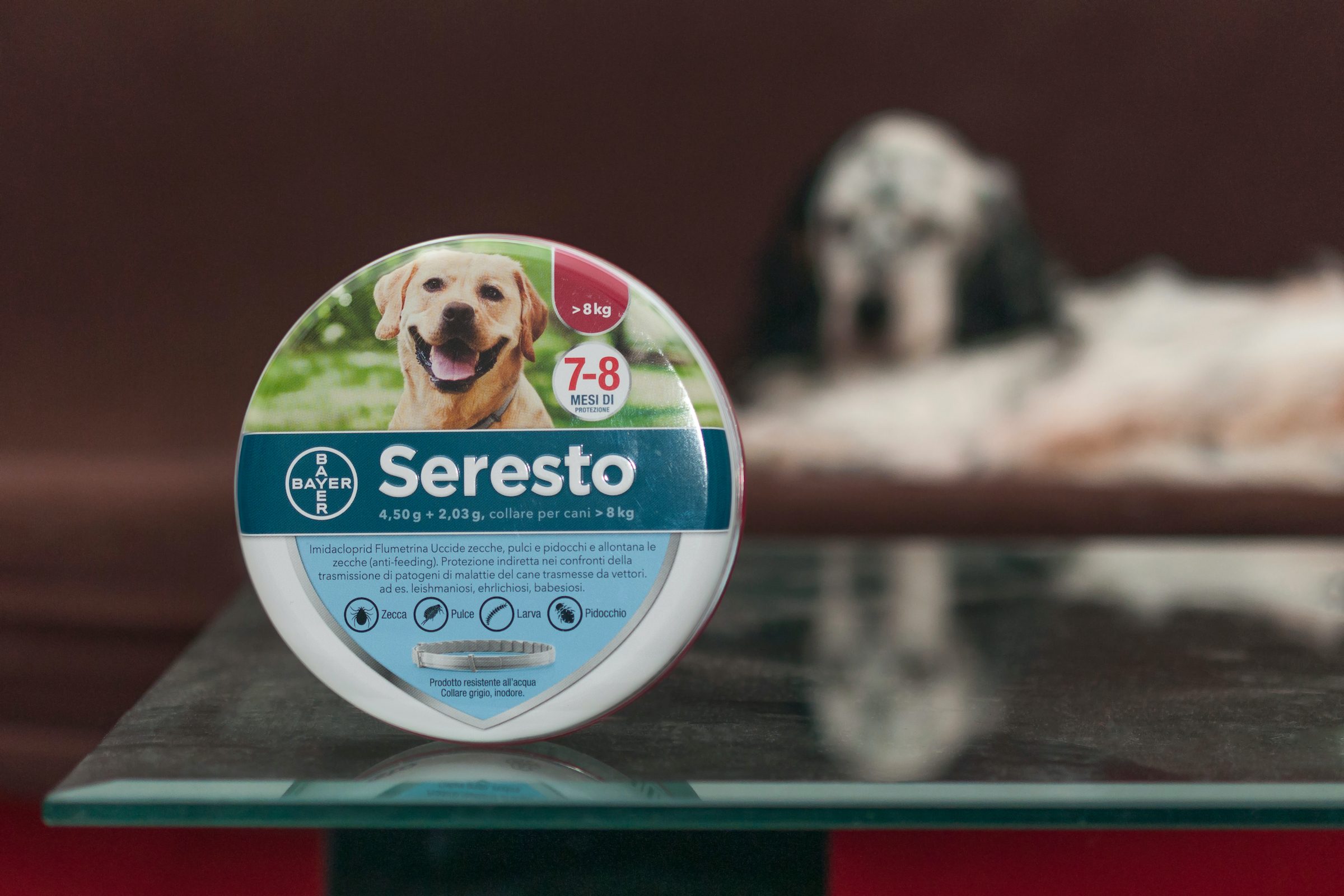a seresto dog flea and tick collar sits on a table with a dog out of focus in the background