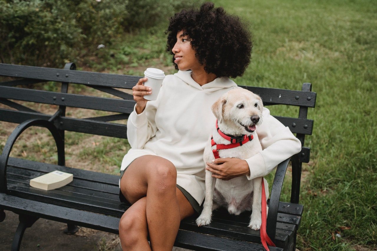 A woman on a park bench with a white dog.