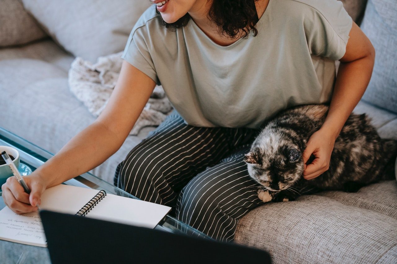 A woman working on the sofa while holding a calico cat.