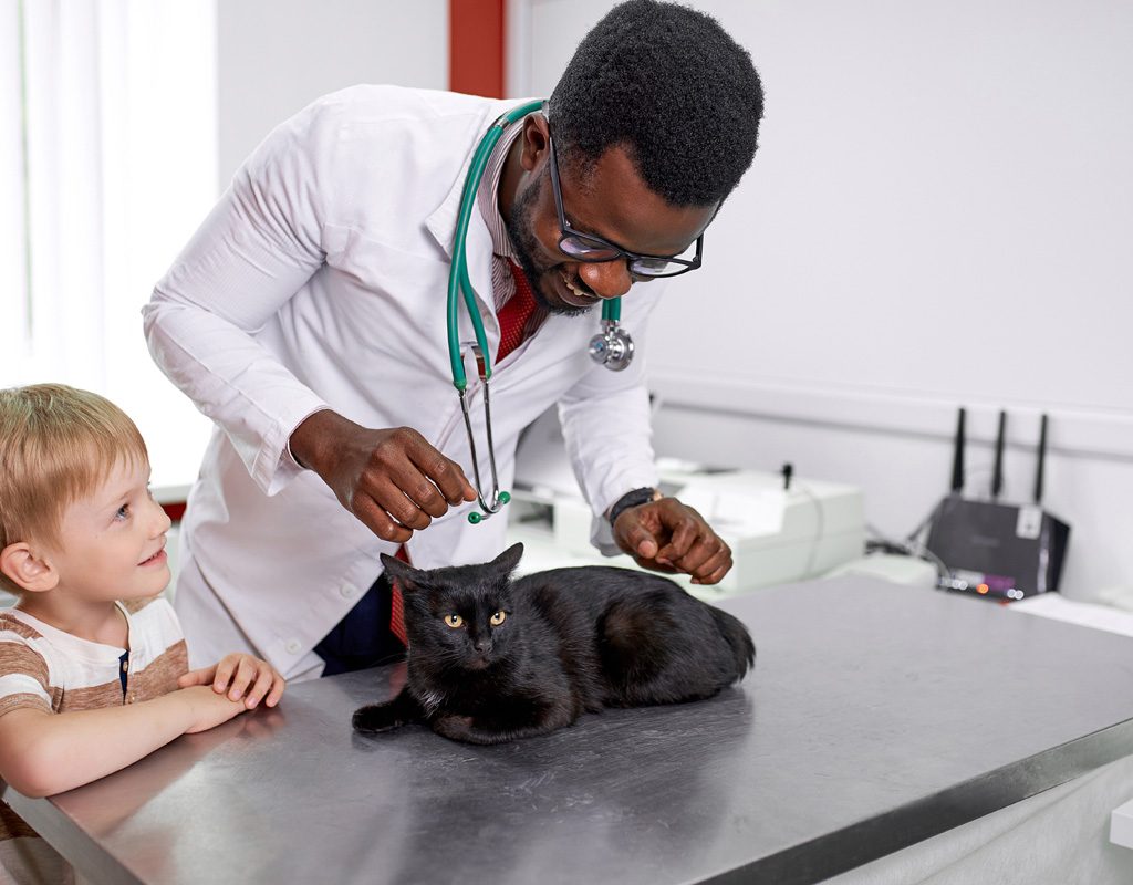 Veterinarian examining cat while little boy watches