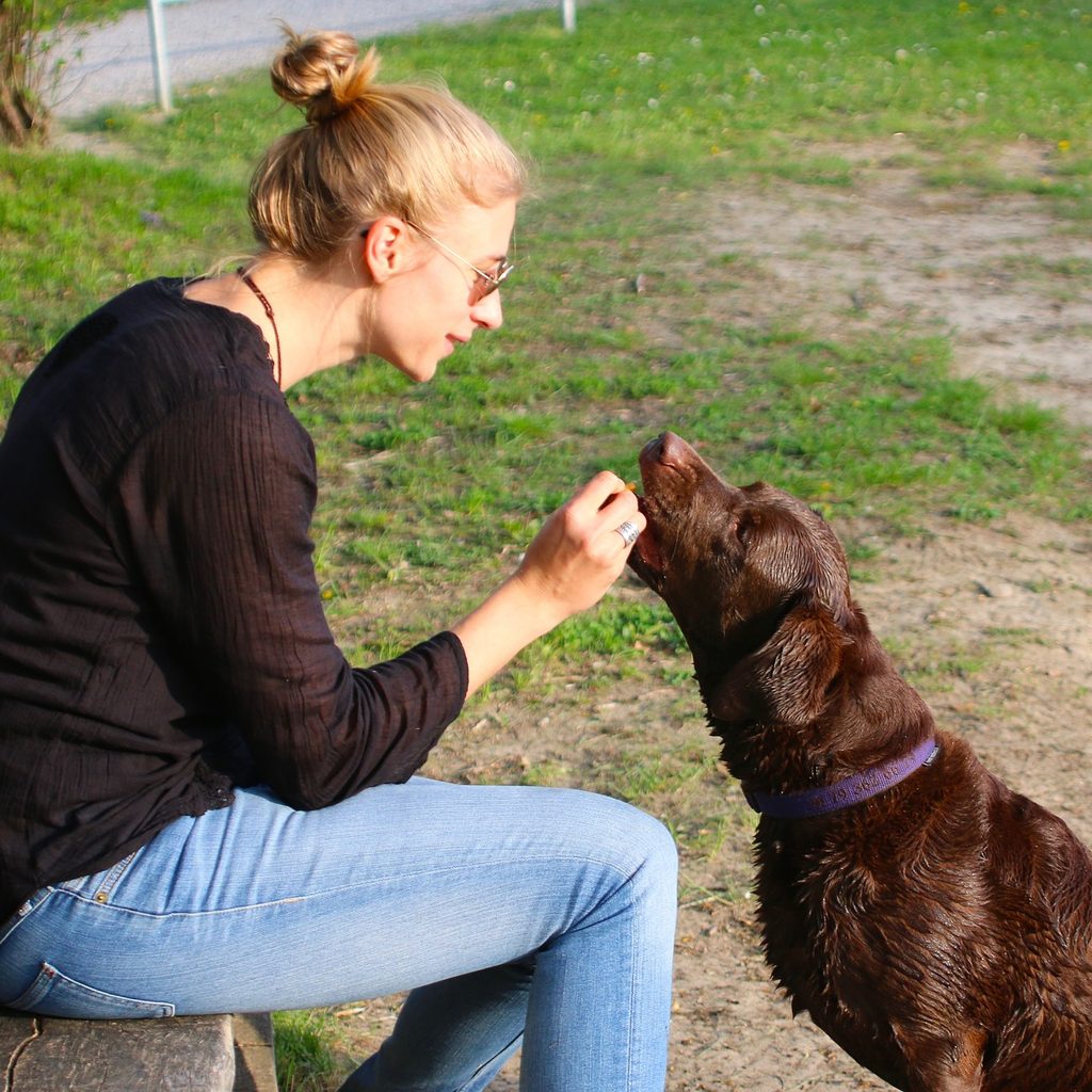 Woman sitting on a bench and giving a dog a treat