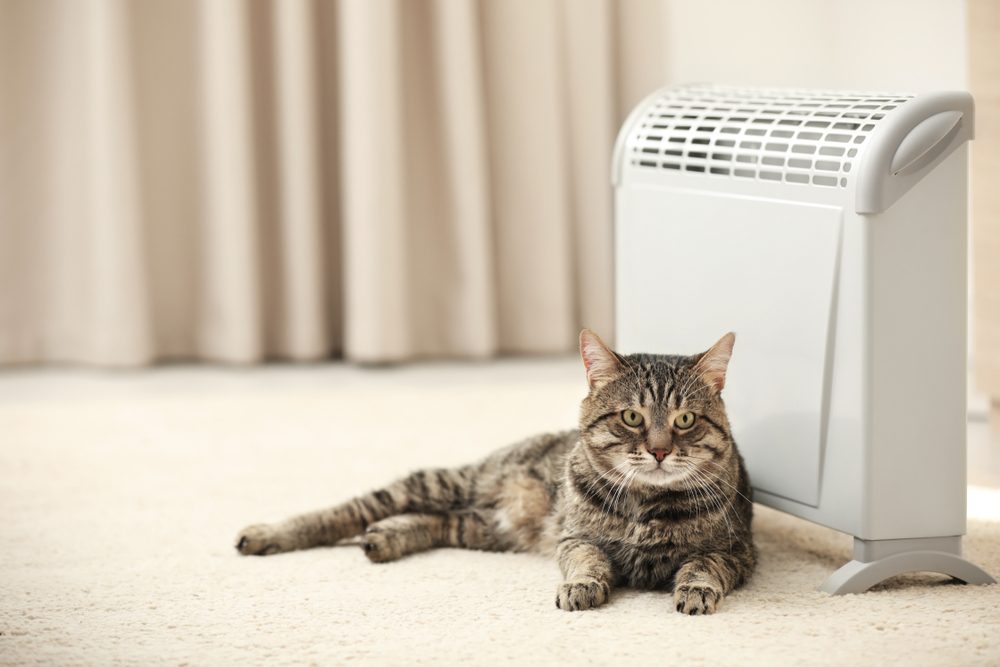 A brown tabby cat lying near a space heater.