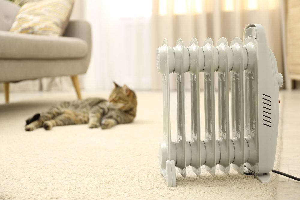 A brown tabby cat lying near a sofa with a space heater in the foreground.