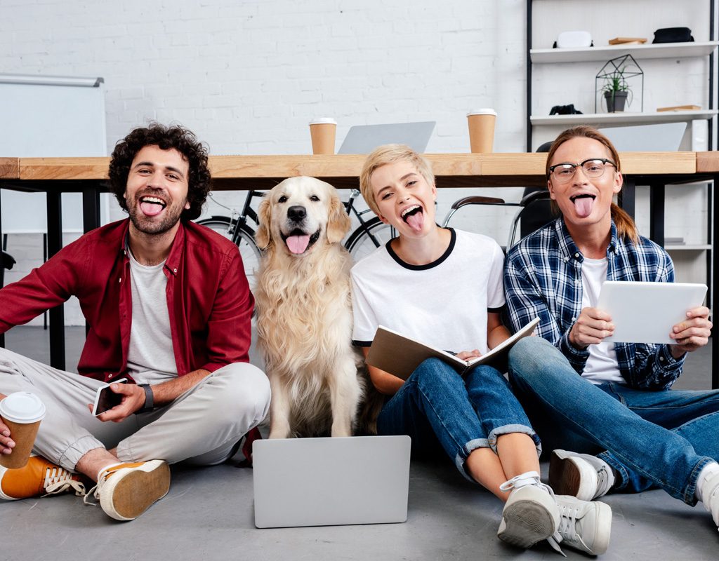 Co-workers having fun in the office with a dog.
